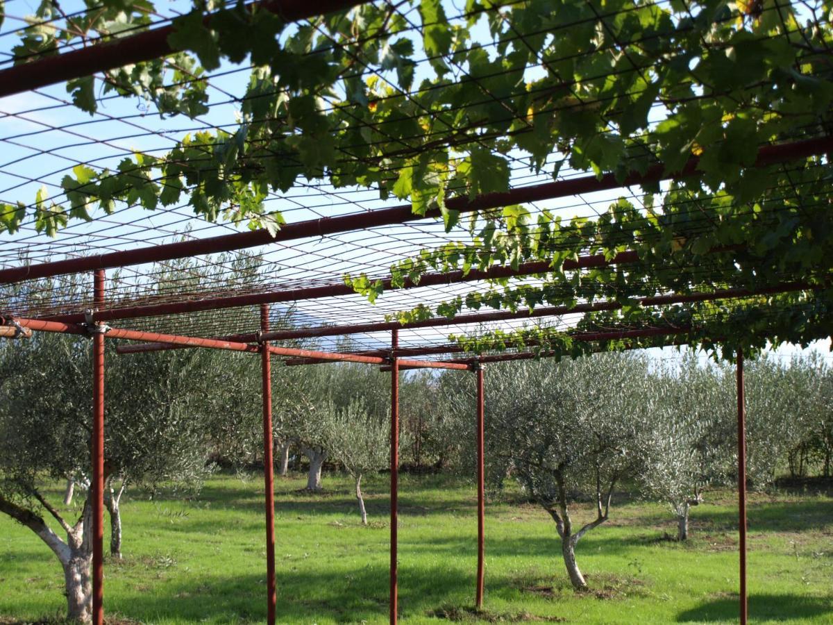 Appartamento Παληοκτημα - Palioktima 2 Neon Rysion Esterno foto