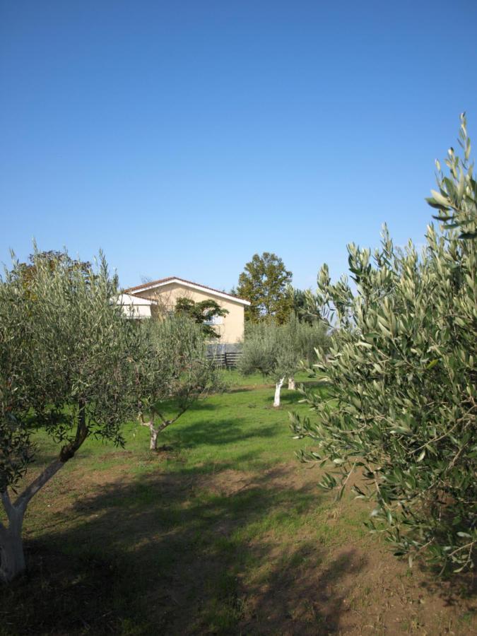 Appartamento Παληοκτημα - Palioktima 2 Neon Rysion Esterno foto